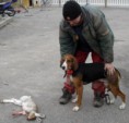 /album/kuvagalleria/a27-10-2010-010-jpg/